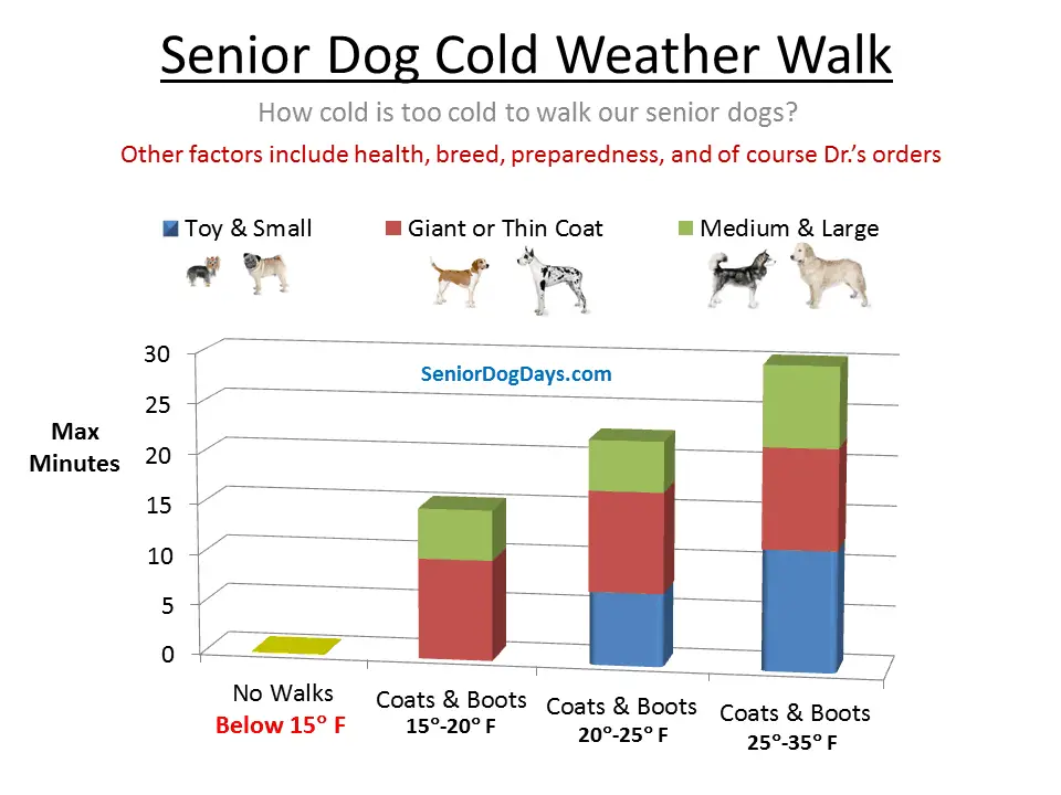 how cold is too cold for dog walk