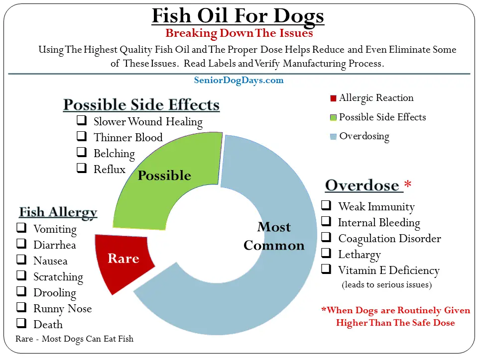 Dog Fish Oil Overdose Vs. Side Effects (Plus the Critical Role of